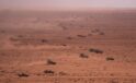 Remains of US soldier who went missing during military drill in Morocco recovered