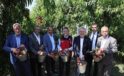 Şeftali ve nektarinde hasat vakti