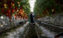 Sixteen EU countries ask for more funds for agriculture and fisheries in next long-term budget