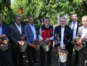 Türkiye Şeftali ve Nektarinde 250 Milyon Dolar İhracat Hedefi Koydu