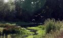 Two French children found alone by main road in Portugal: What’s the story behind?