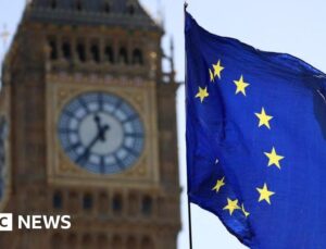 UK officials suggested single market for goods with Europe
