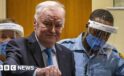 War criminal Ratko Mladić’s jail release request denied