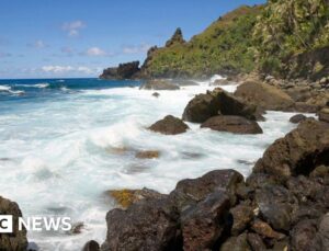 Woman isolating on British island in South Pacific after hantavirus contact
