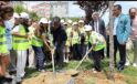 Bağcıların çocuklarından “Sıfır Atık” gösterisi