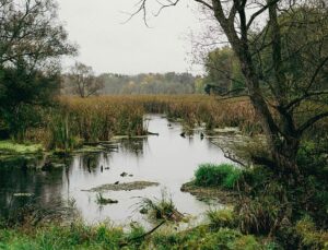 Bogs ‘almost like a minefield’: Europe’s wetlands gain military importance