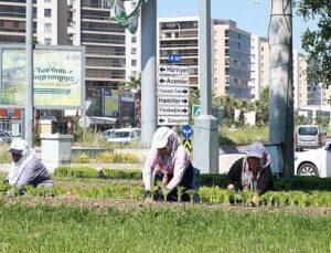 Bu Yaz Osmangazi’de Çiçek Kokuları Eksik Olmayacak