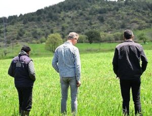 Büyükşehir’in Toprakla Buluşan Tohumları Yeşerdi