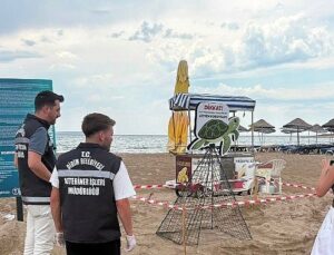 Didim Belediyesi Gruplarının Vaktinde Müdahalesi Caretta Carettayı Kurtardı