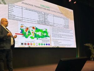 Ege’den Avrupa’ya Baharat Köprüsü