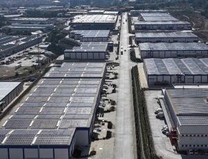 ESBAŞ, Çevreci Yatırımlarla 2025 Yılında 8 Bin Ağaç Kurtardı