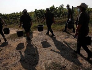 Gangmasters and extreme violence: Four farm workers burned to death in Italy