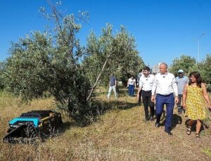 Gaziemir’de yabani otlarla uğraşta teknoloji dayanağı