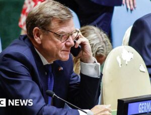 Germany blames Russia for ‘bitter defeat’ in UN Security Council bid