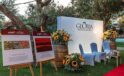 Gloria Hotels & Resorts’ta ‘Wineful & Gloria Wine Tasting Festival’ Büyük İlgi Gördü