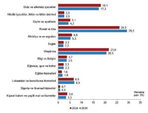 Hanehalkı Tüketim Harcaması, 2025