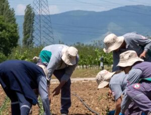Hektaş’tan Orta Asya Ve Afrika Atağı