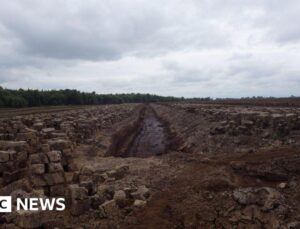 Ireland facing EU court case over peat extraction