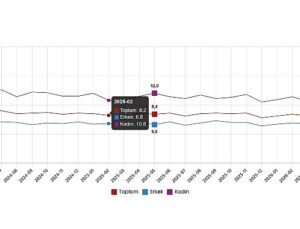 İşgücü İstatistikleri, Mayıs 2026