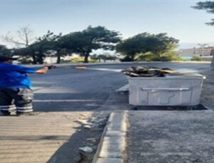 İzmir’de sivrisineğe karşı dev uğraş