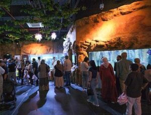 İzmit Millet Bahçesi’nde yeni bir hayat kıssası