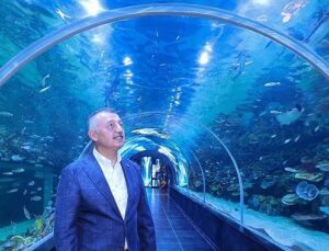 Körfez Aqua Kıtalar Akvaryumu kapılarını açıyor
