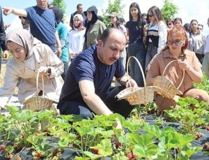 Lider Altay 2027 Yılı Ziraî Dayanak Müracaatlarının 1 Temmuz’da Başlayacağını Duyurdu