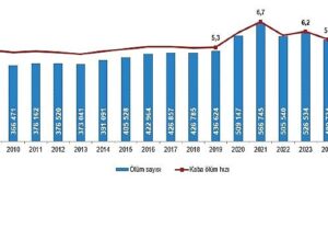 Mevt ve Mevt Sebebi İstatistikleri, 2025