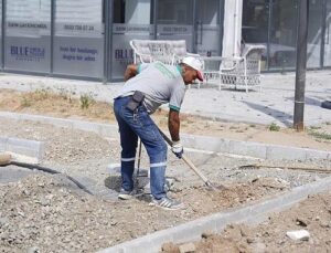 Park ve Bahçeler Müdürlüğü’nden İlçe Genelinde Ağır Çalışma