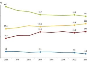 Türkiye Sıhhat Araştırması, 2025