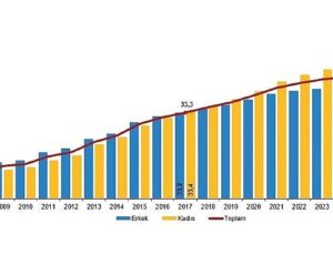 Ulusal Eğitim İstatistikleri, 2025