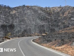 Badly burned British couple rescued from ravine during Spain wildfires