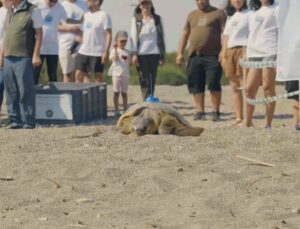 Caretta Caretta’ların Göç Rotalarına Uydu Takibiyle Işık Tutuluyor