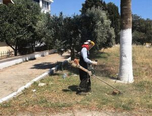 Didim Belediyesi’nden Kente İhtimamlı Dokunuş: Kendi Üretimi Çiçekler Toprakla Buluşuyor
