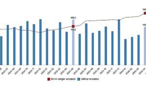 Dış Ticaret Endeksleri, Mayıs 2026