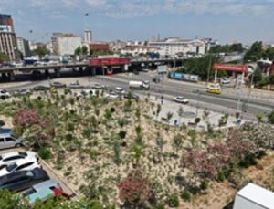 Eski Benzinlik yeşile dönüştü