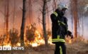 France and Spain wildfire witnesses describe ‘wall of flames’, fear and stress