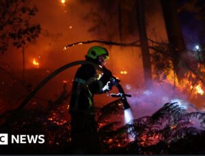 France battles fire ‘whirlwinds’ as another 55,000 evacuated