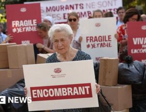 French MPs approve assisted dying law with strict rules after years of argument