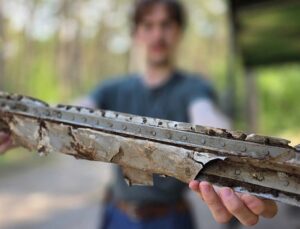 Goes berry picking, finds traces of mysterious Allied plane wreck in Poland