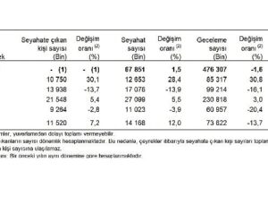 Hanehalkı Yurt İçi Turizm, I. Çeyrek: Ocak-Mart 2026