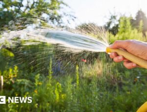 Hosepipe ban across Republic of Ireland but NI avoids same precaution