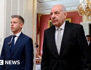 Hungary parliament votes to remove president from office