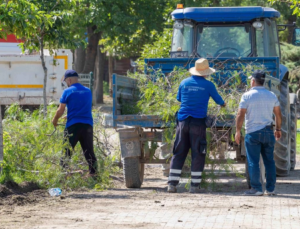  İnciraltı Kent Ormanı Yenileniyor