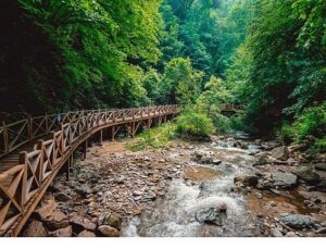 İnegöl Belediyesi’nden Tabiat Turizmi İçin Tarihi Adım