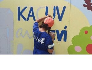 KAÇUV yapılandırılmış gönüllülük modelini eğitim ve uzman rehberliği ile yürütüyor