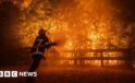 Macron calls crisis meeting as wildfires threaten Bordeaux and heatwave looms