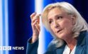 Marine Le Pen appeal verdict: Why this moment matters for France