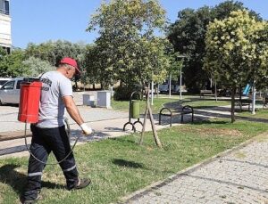 Menderes’in Parkları Ebediyen Bakımlı