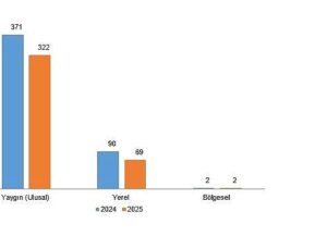 Müddetli Yayın İstatistikleri, 2025